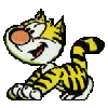 Katze