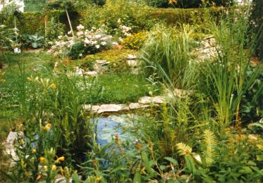 Teich
